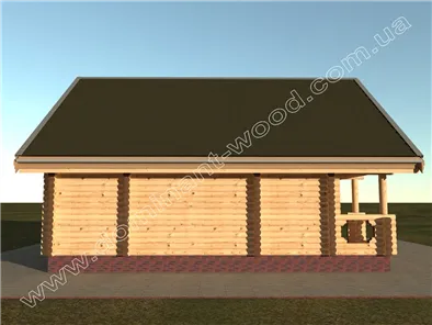 Гортензія №1 2