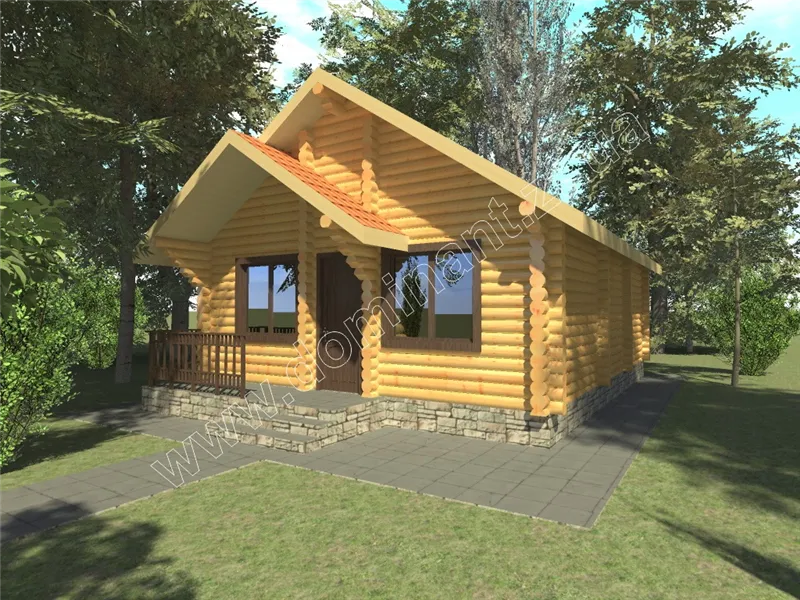 Ластівка №1