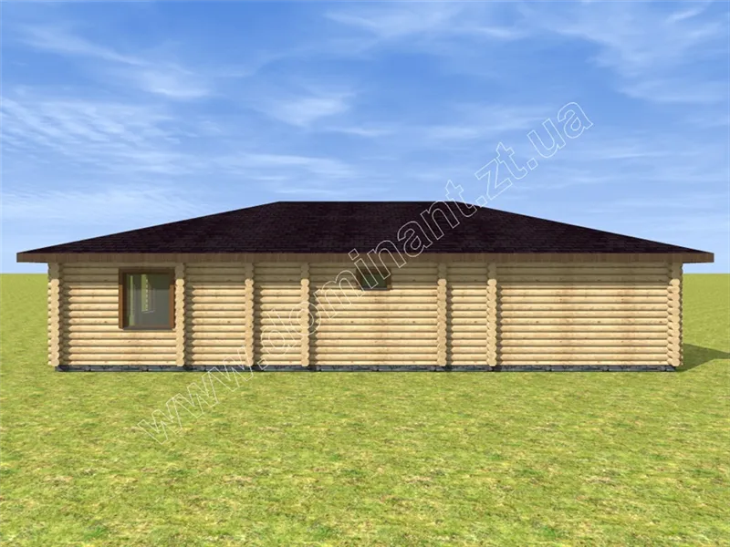 Лебідонька №3