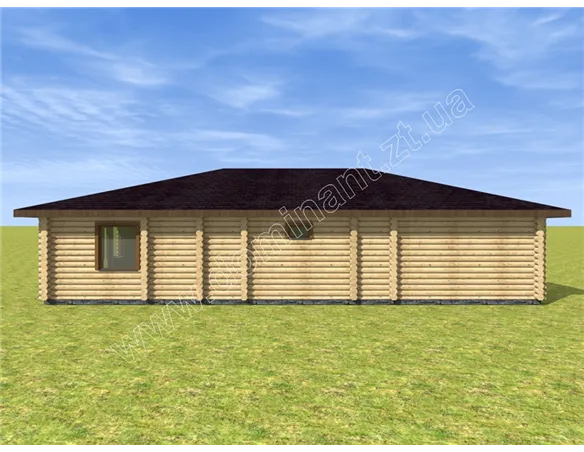 Лебідонька №3