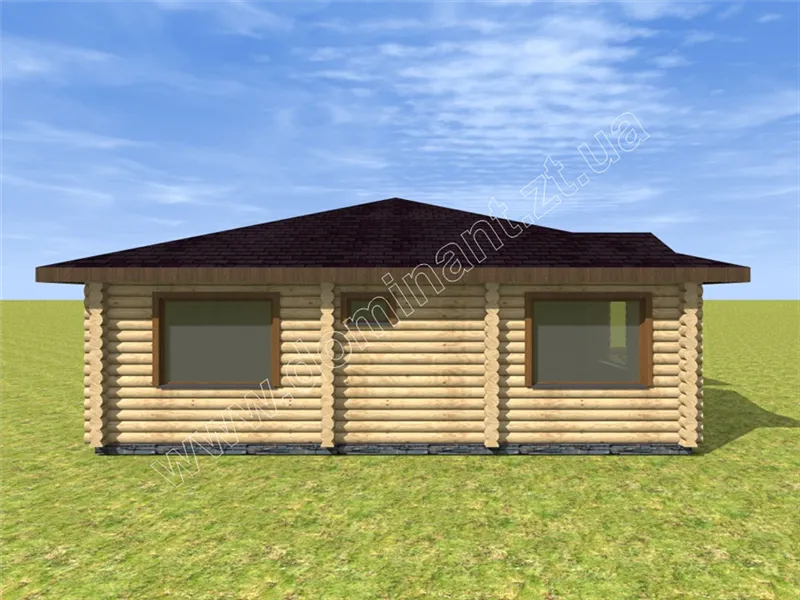 Лебідонька №5