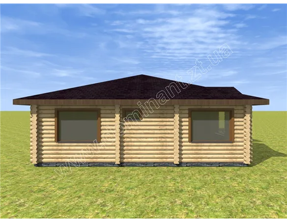 Лебідонька №5