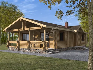 Соняшник №1