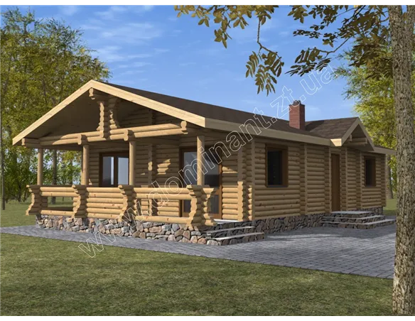 Соняшник №1