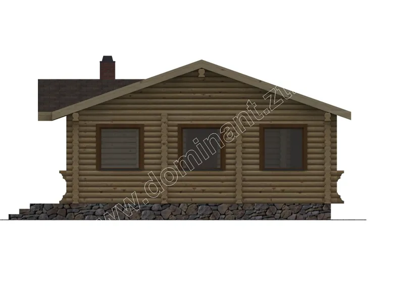 Соняшник №5