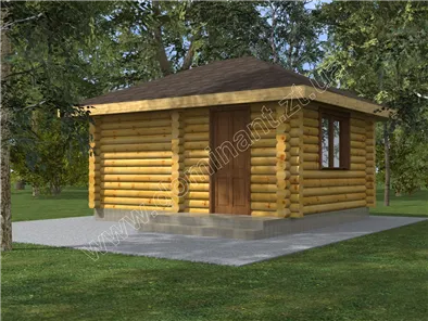 Сенполія №1