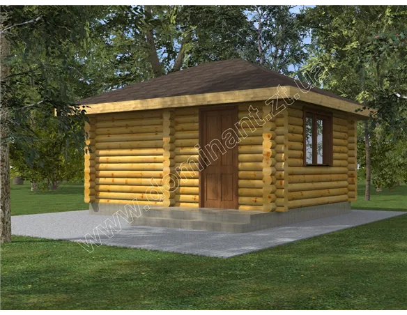 Сенполія №1