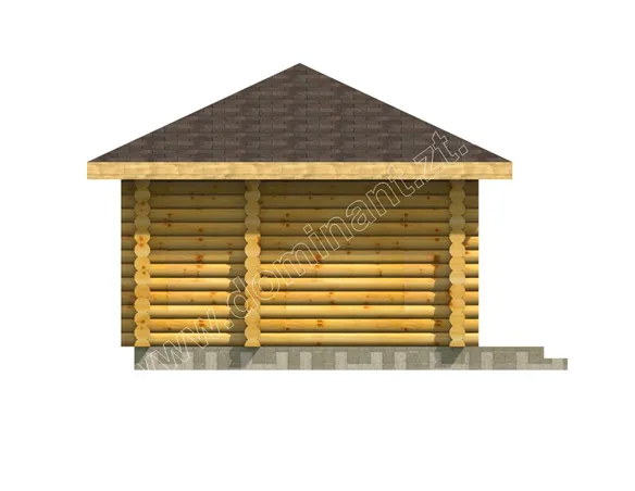 Сенполія №4