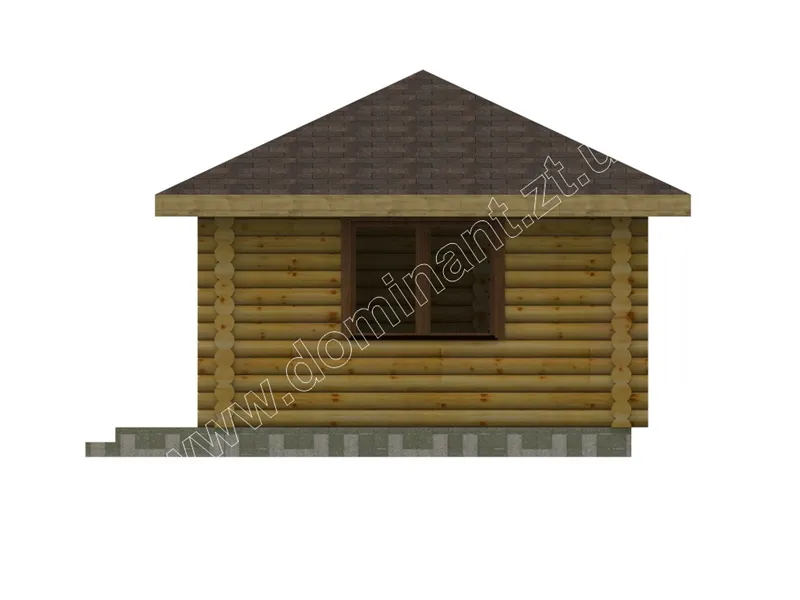 Сенполія №5