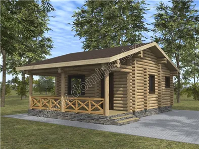 Звіробій №1