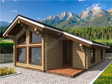 Айрінвін №1