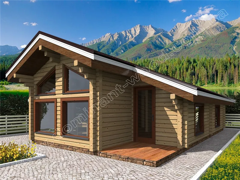 Айрінвін №1