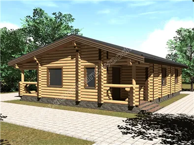 Хайнемі2 №1