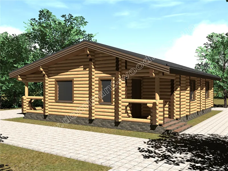 Хайнемі2 №1