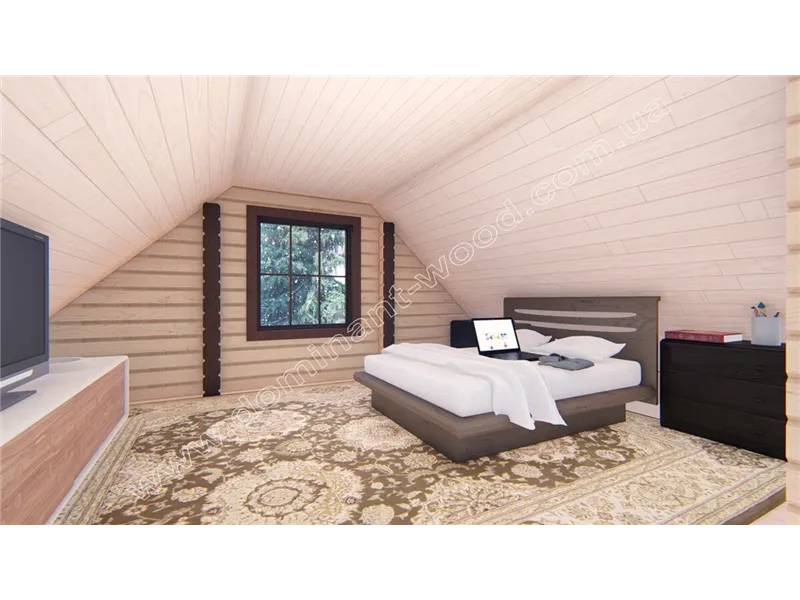 Діслава №11