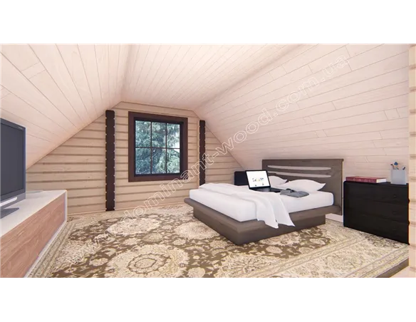 Діслава №11