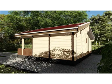 Силенна №1 2