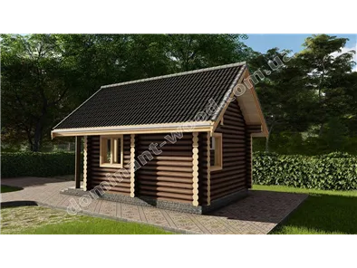 Сільва3 №1 2