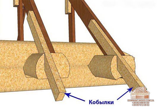 Кобылка Кобылка №1