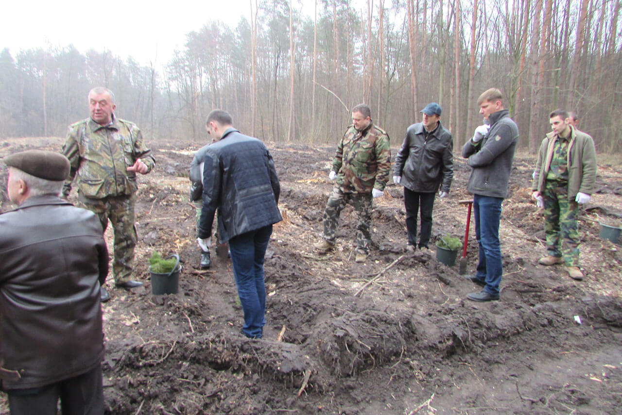 Будни и праздники №14