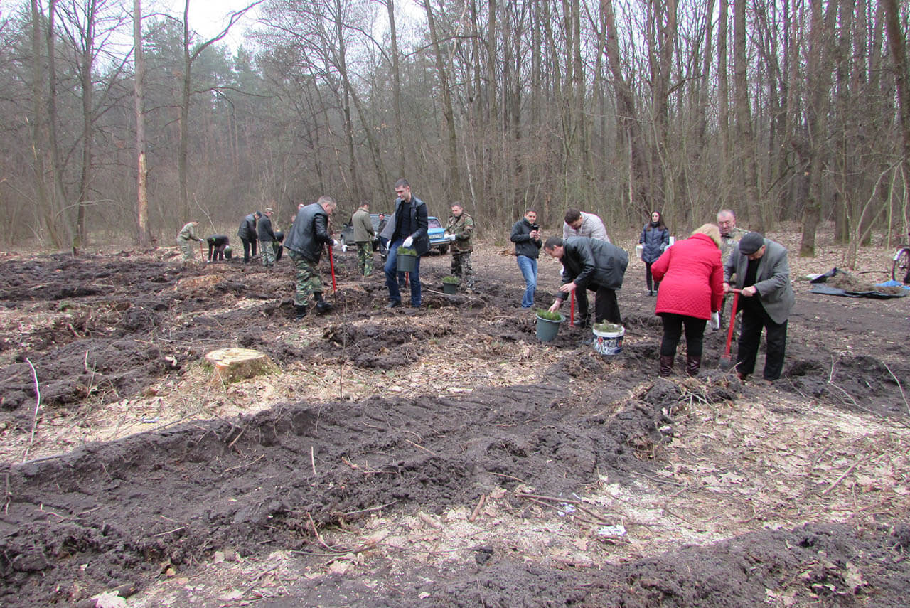 Будни и праздники №15