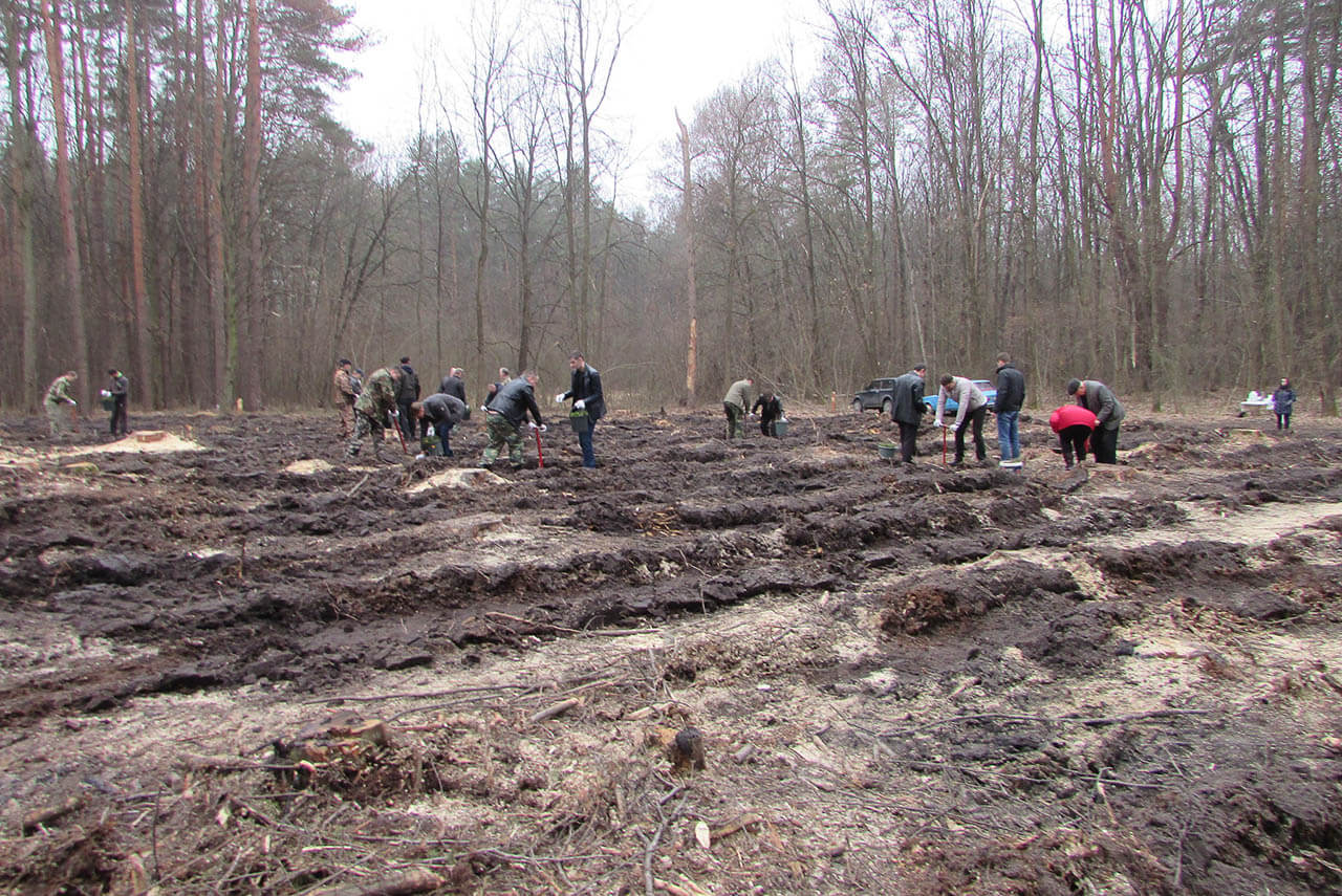 Будни и праздники №16