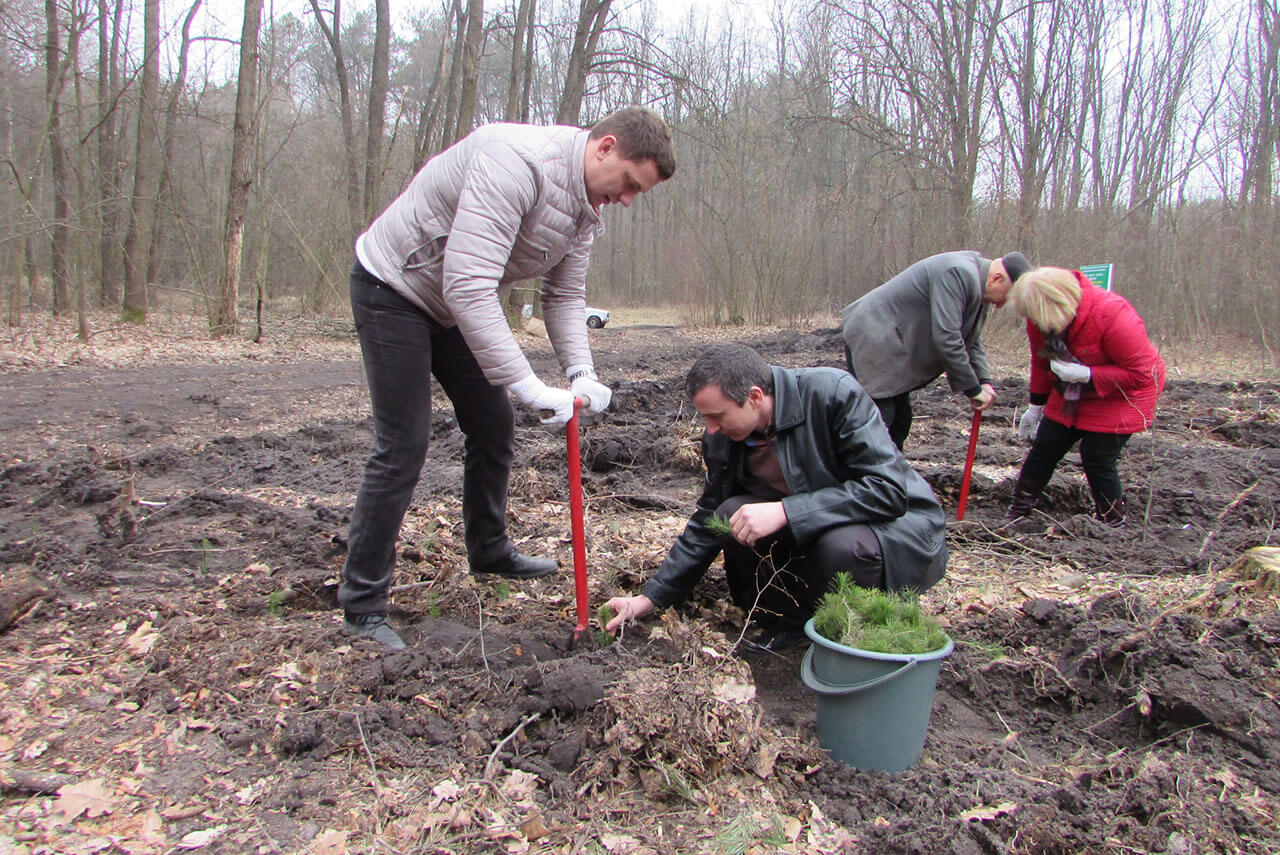 Будни и праздники №17