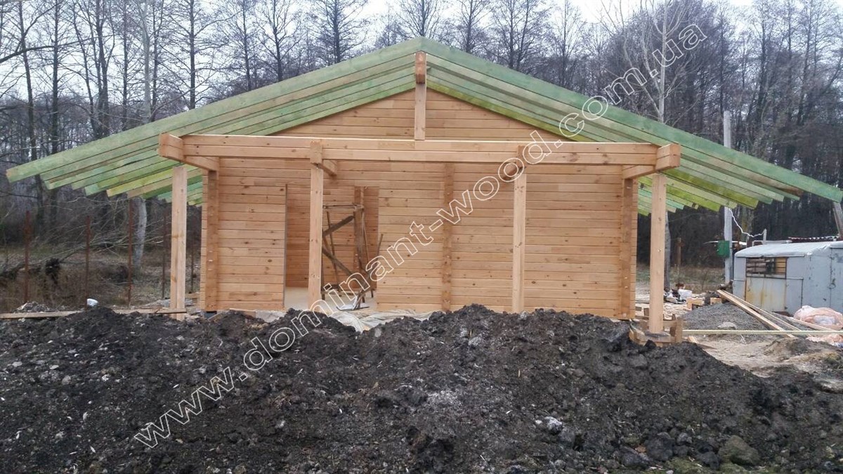 «Флейта» Топовый проект: коттедж «Флейта» в разном исполнении №2