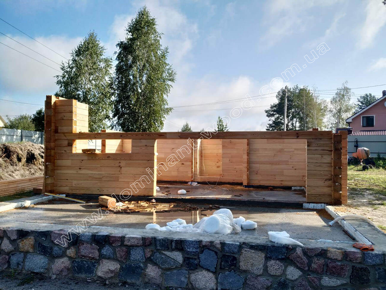 Баура Проект «Баура»: меняем и строим по желаниям клиента №7