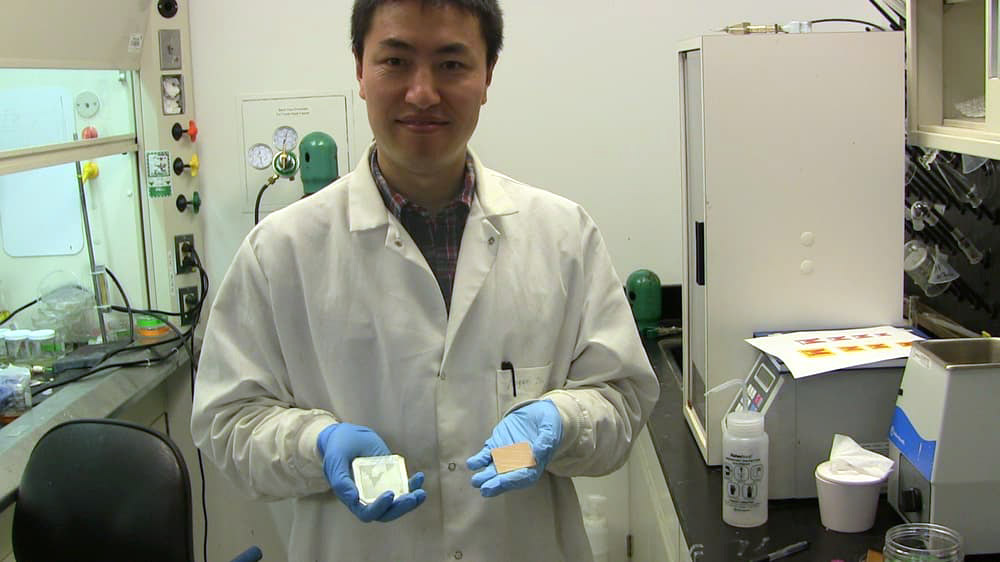 Створення унікального матеріалу - прозорого дерева №1