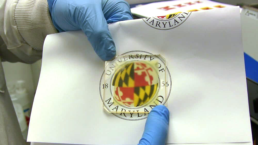 Створення унікального матеріалу - прозорого дерева №4