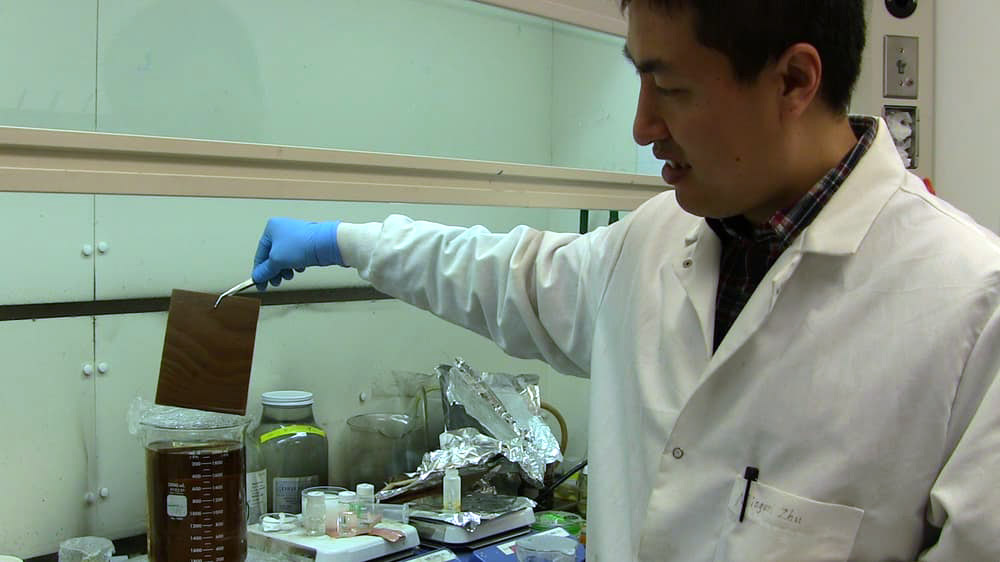 Створення унікального матеріалу - прозорого дерева №2