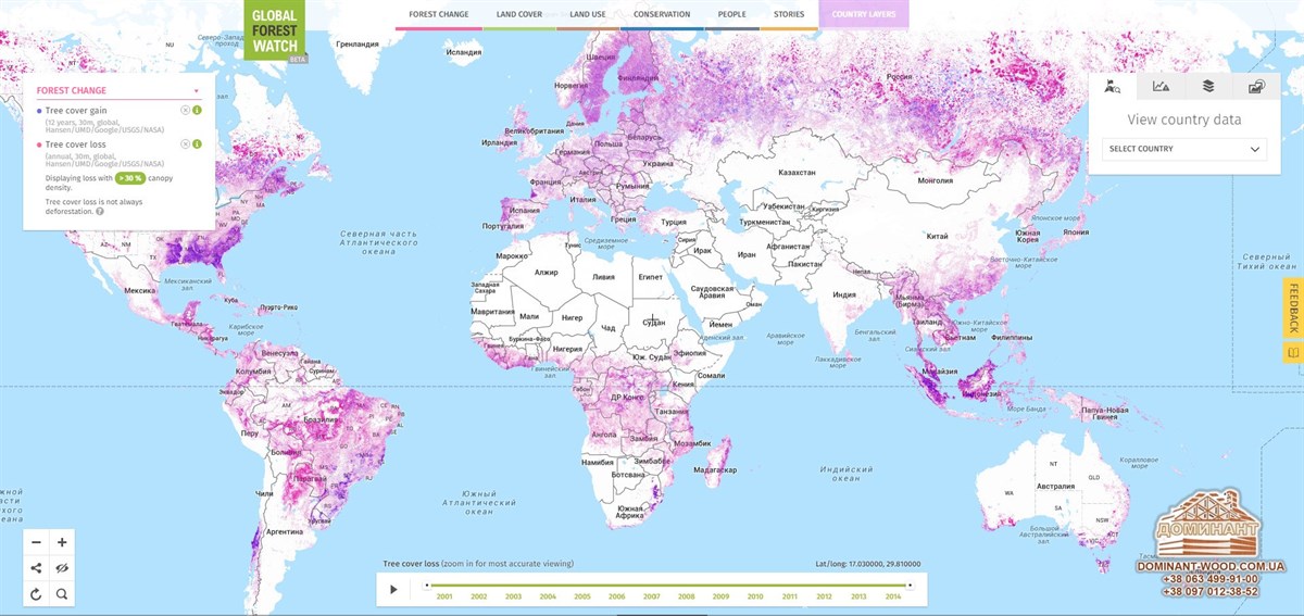 Як в різних країнах рятують ліс №2