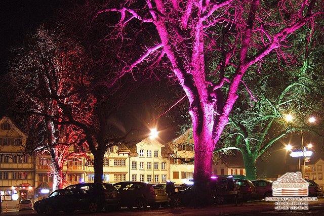 Новини технологій обробки деревини №4