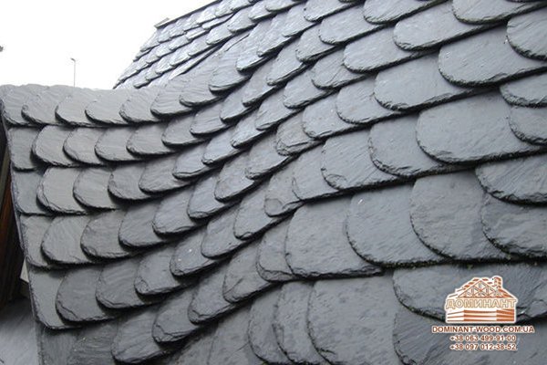 Сучасна покрівля для дерев'яного будинку №3