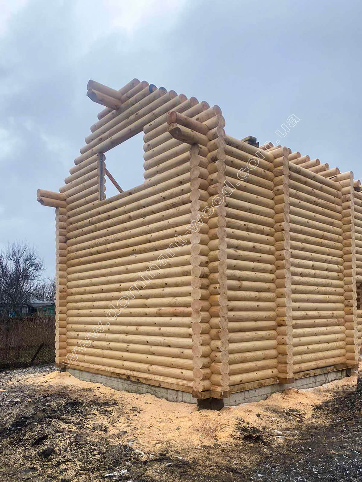 проект Корзан проект Корзан