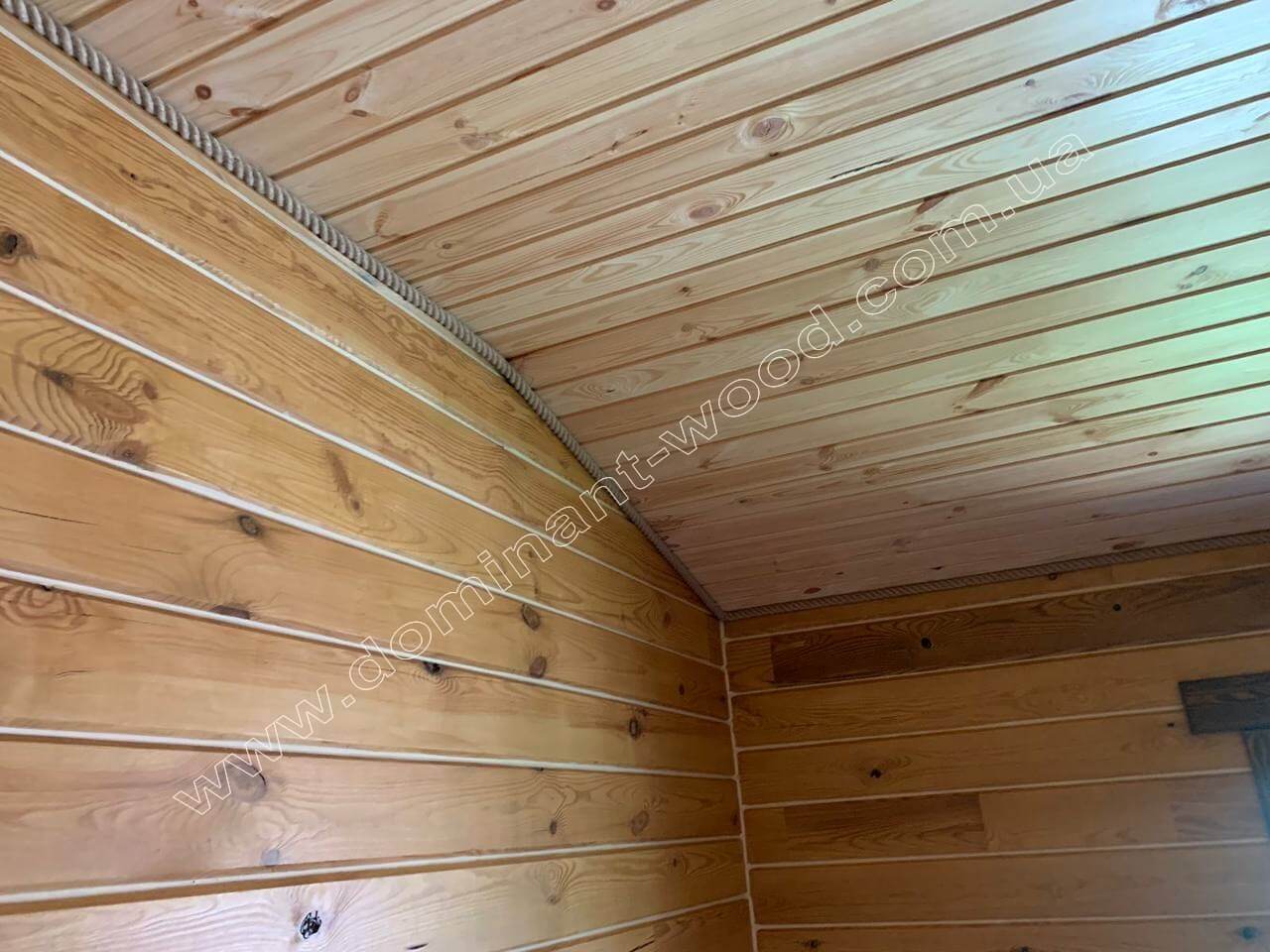 проект Олеандра проект Олеандра