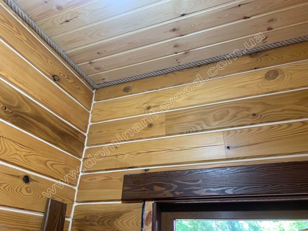 проект Олеандра проект Олеандра