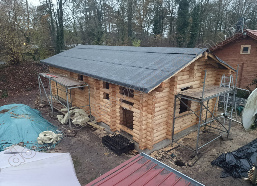 Проєкт «Меруна» на замовлення в Німеччині